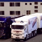 Neujahrsfahren Herisau (CH) 2016